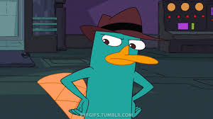 Someone should make a compilation of every curse you perry the platypus clip there is. Perry The Actorpus Explore Tumblr Posts And Blogs Tumgir