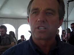 pam dorr compostmodern 2009