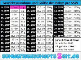 8 Ssw Entwicklung Gewicht Grosse Anzeichen Symptome