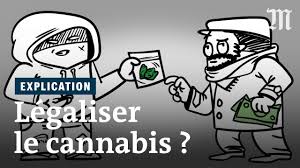 Les drogues illicites en europe et dans le monde. Cannabis La Legalisation Est Elle Moins Couteuse Que L Interdiction Youtube