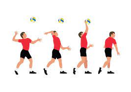 Developing basic volleyball skills for success. Skills Needed In Volleyball Activesg