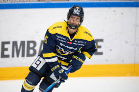 En guldgruva för oss som håller på hv71! Mxltwcwlvgwe4m