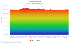 Maldives Weather In January In Maldives 2021