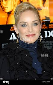 Hund ohrringe -Fotos und -Bildmaterial in hoher Auflösung