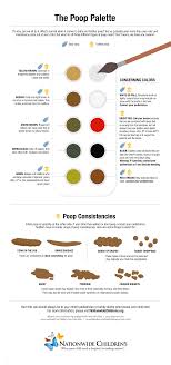 The students can create a color wheel from a paper plate. The Poop Palette What Do All Of Those Colors Mean
