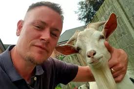 Ram raid with a difference as runaway GOAT strolls around village