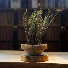 chinakong空之间生 设计师匣钵花器绿植盆景花盆陶瓷花器jardiniere plant pot flower pot bonsai miniascape potted plant planter pots plants bonsai pots