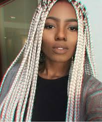 Black And Platinum Blonde Knotless Braids How To Make An Interesting Art Piece Using Tree Branches Ehow Blonde Box Braids Box Braids Box Braids Hairstyles