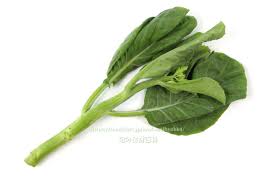 カイラン／芥藍／芥藍菜＜中国野菜：旬の野菜百科
