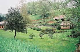 Wilson bros landscape manifested our vision with exceptional expertise. Rainier Oregon Charles R Wilson Co Saw Mill