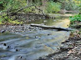 Santa cruz, scotts valley and felton. Northern California Swimming Holes 6 Spots To Beat The Heat