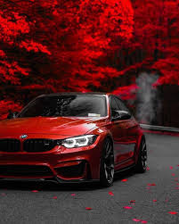 Intelligentes navigieren, das auto per app bedienen, facebook im fahrzeug: Bmw Bmwclassiccars Bmwmotorrad Bmwvintagecars Red Redvelvet Trees Forest Bmw 1er Auto Hintergrundbilder Mercedes Benz Autos