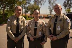 Sjvc På Twitter: "Check Out This Guide To Learn How To Become A Correctional  Officer In #California: Https://T.co/Mgplkzt0Ui You'll Learn: •The  Requirements To Become A #Correctionalofficer •What The Hiring Process Is  Like •