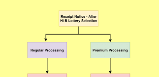 next steps after after h1b visa lottery selection