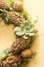 See more ideas about magnolia leaves, magnolia, christmas decorations. An Easy Diy A Succulent Magnolia Cone Walnut Adorned Wreath