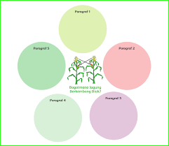 Kunci jawaban tematik tema 1 kelas 4 subtema 1 pembelajaran 6 subtema 1 keberagaman budaya bangsaku pembelajaran 6 pada halaman 59 download soal dan kunci jawaban kelas 2 semester 1 tema 1 subtema 1. Kunci Jawaban Buku Siswa Kelas 6 Tema 1 Subtema 1 Halaman 2 4 6 14 Sanjayaops