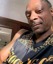 Importance of taking care of dogs and pets