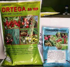 We did not find results for: Jual Ortega 80wp Pencegah Daun Pucuk Kuning Kota Semarang Divaendi Tokopedia