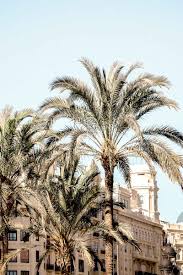 The best areas to stay in valencia, spain 1. Where To Stay In Valencia Spain The Best Area To Stay In Valencia 2021
