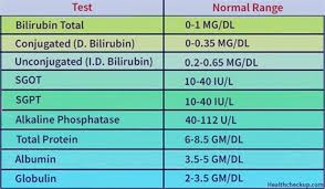 Image result for Liver Function Test