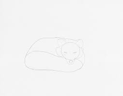 Join more than 8 million creators learning with skillshare. Learn How To Draw A Sleeping Arctic Fox In 9 Steps