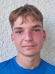 Enrikó Zoltán Cseh