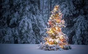 Fill your heart with goodwill and cheer. Christmas Windows 10 Theme Themepack Me