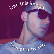 Hi. I just beat Kleavor, how/where can i cath an alpha Eevee?