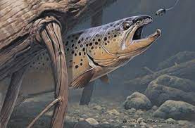 How To Paint Animals In Acrylic Trout Art Fly Fishing Art Fish Painting