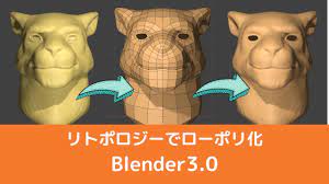 Blender3.0】自動？手動？アドオン？簡単リトポロジー | CGbox