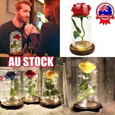 Beast Enchanted Rose In Glass Dome