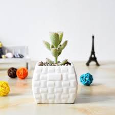 Free shipping on qualified orders. 2019 New Hot Selling White Wholesale Ceramic Planter Flower Pot Small Plant Pot Ceramic Flower Pots Small Potted Plants White Flower Pot