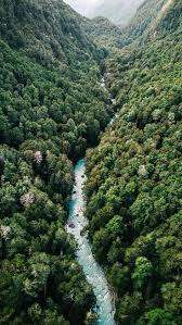 Tons of awesome dual 4k wallpapers to download for free. Tap To Download Free Forest Iphone X Wallpapers By Iphone X Wallpaper 4k Nature 736x1308 Wallpaper Teahub Io