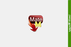 تحميل تيوب ميت tubemate v2 2 4 22 756 enamel pins accessories pin