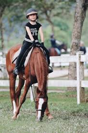 Prices are subject to 6% sst. Top 8 Horse Riding In Johor Updated Sgmytrips Com