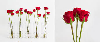 It's even possible to keep the buds for up to three months in the fridge to enjoy the flowers long after their natural blooming season. How To Make Cut Flowers Last Longer The Koch Blog