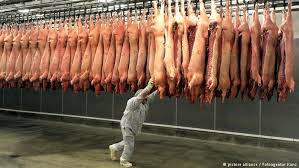 Resultado de imagem para aumento do consumo de carne