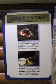 モグラのいえのモグラたち おしえて モグラ先輩 続 動物園ありマス