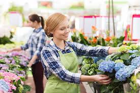 Best value flowers & gifts. The 10 Best Garden Centers And Nurseries In Maryland