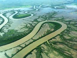 Cartoon Island Drawing Birds Eye View King River Northern Territory Aerial Aerial Photo Aerial View