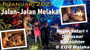 17,856 likes · 3 talking about this · 90,567 were here. Night Safari Dinosaur Encounter Zoo Melaka Youtube