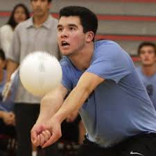 2013 All-Academic boys volleyball team