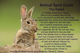Because they generally look healthy even during the harshest weather, a rabbit sighting symbolizes the ethic of working hard and saving for. Pin By Victoria Bond On Spirit Animals And Guides Animal Spirit Guides Animal Totem Spirit Guides Spirit Animal Totem