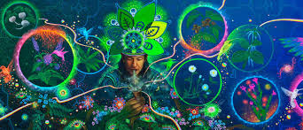 In addition, it may cause an allergic reaction in some with allergies to certain plant families. Mugwort Dream Sage Of The Chumash Indians
