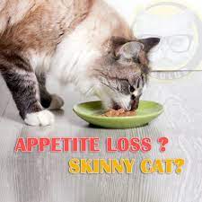 Check spelling or type a new query. Appetite Loss Hilang Selera Makan Kucing 20ml Shopee Malaysia