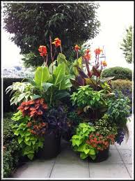 Smarten The Horticulture With One Of These Useful Tips Special Garden Design Tropical Landscaping Garden Containers Tropical Garden