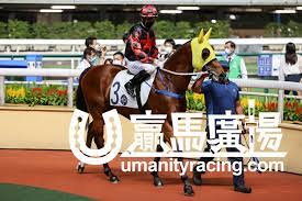 名站推薦 tips：2021年6月8日 更新失效連結 total 13 ». èˆžå£«ç²¾ç¥ž é¦¬åŒ¹è³‡æ–™ æ–°çš„è³½é¦¬è²¼å£«æ¨¡å¼è´é¦¬å»£å ´