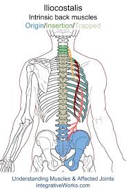 Pin On Nursing