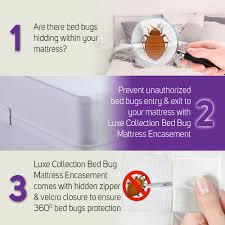 Bed bugs can disrupt your sleep when they force you to the uncomfortable couch, and you wake up with a stiff neck in the morning. Bed Bugs Mattress Protector Protect From Bed Bug Bites And Infestation