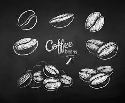 Vector Chalk Drawn Set Of Coffee Beans Stock Vector Ad Drawn Chalk Vector Set Ad Karya Seni Kopi Seni Desain